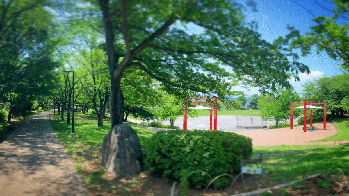 真夏の暑さに木陰を求めて都筑緑道ラン（センター南駅スタート