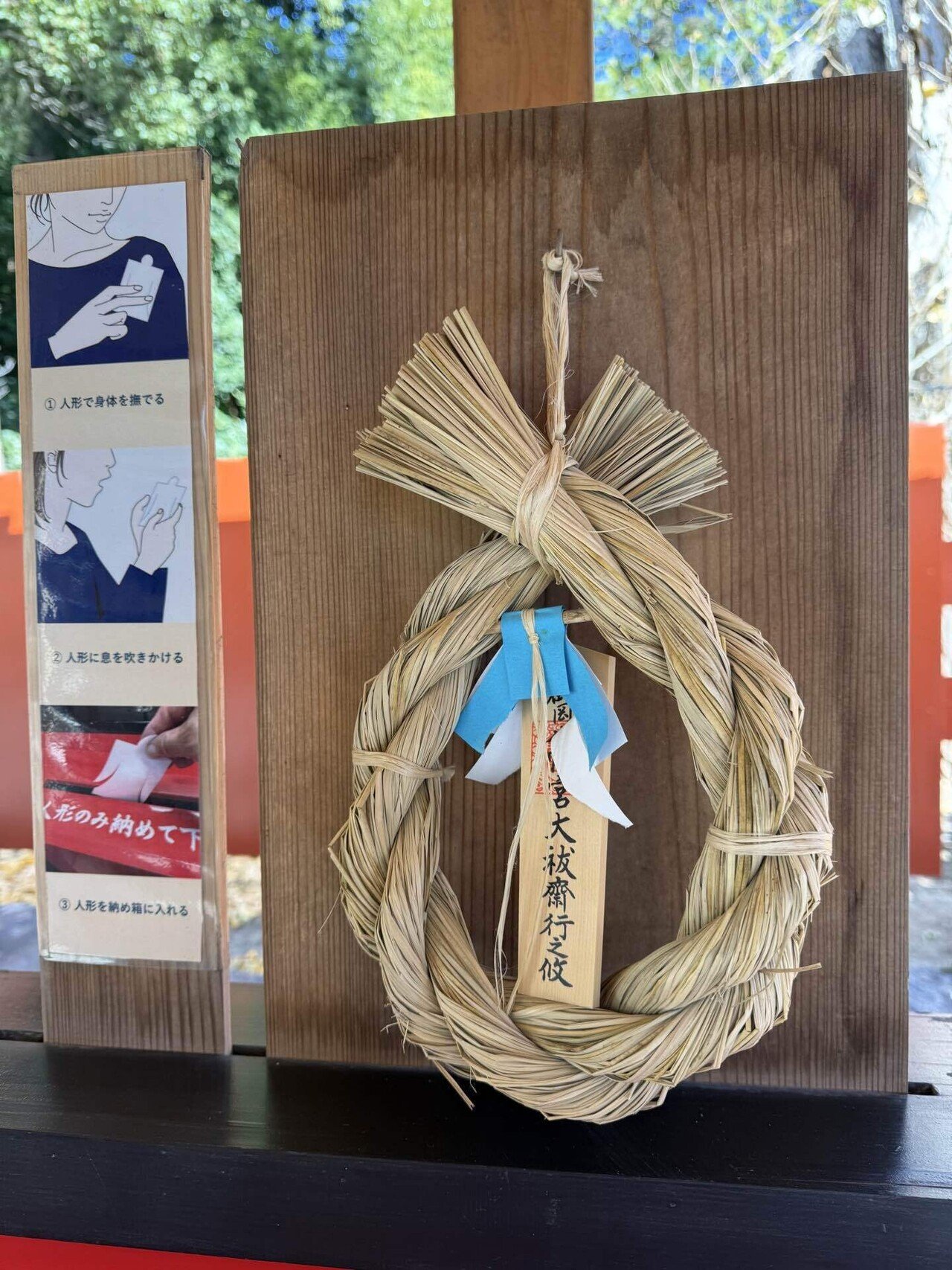 夏至に注目したい三つの理由｜これから半年を乗り切る知恵！｜Rico