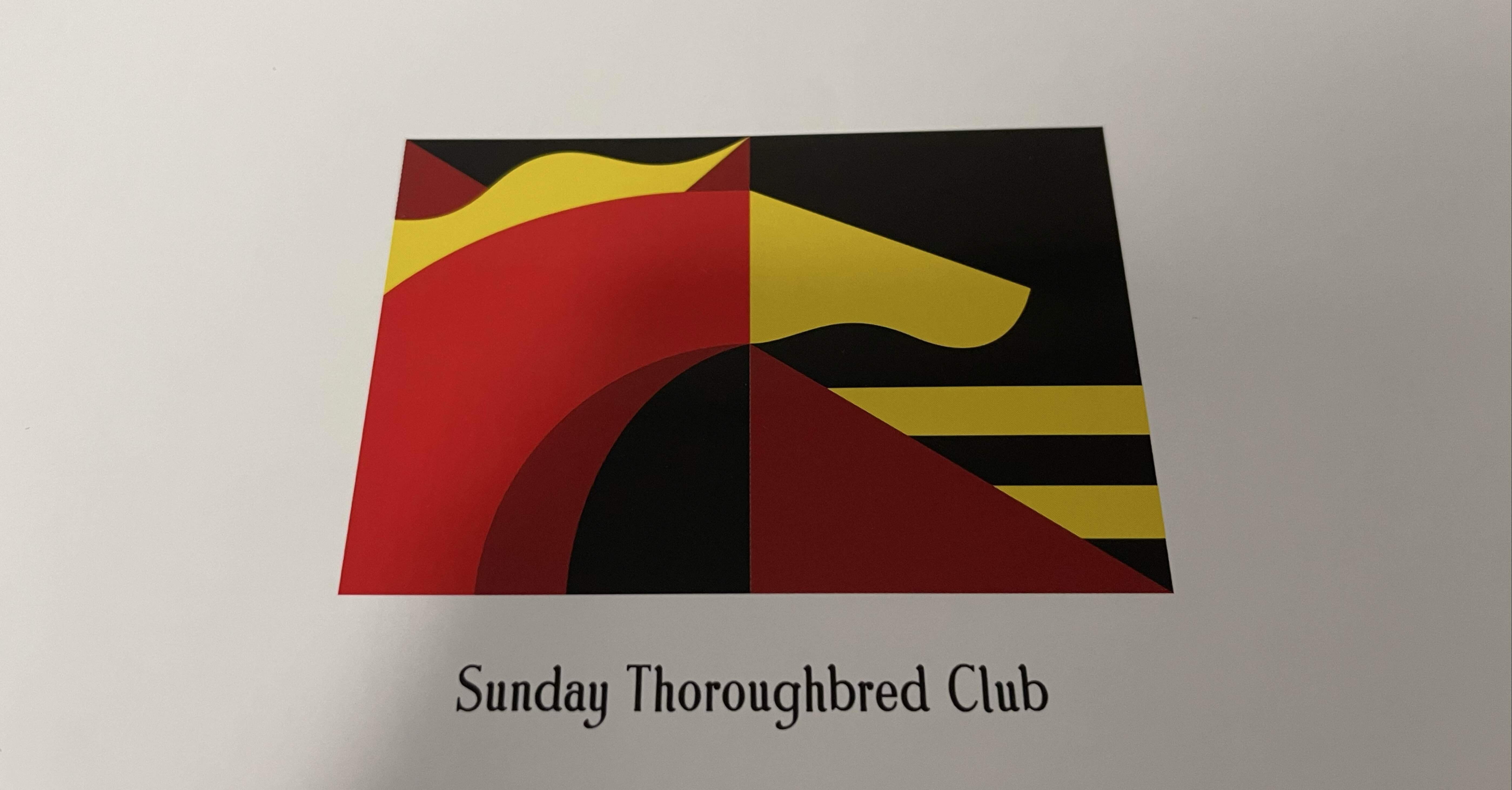 競馬　一口馬主出資パネル 競馬】一口馬主について【出資するとしたら】|『YUO馬』馬と人を