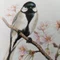 シジュウカラ