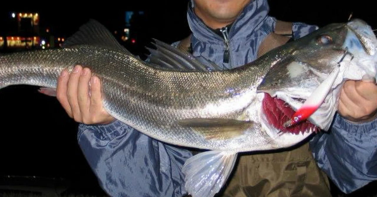 The Old Man Fishing Club, a re-introduction.｜otc fishing club(親父釣り倶楽部)