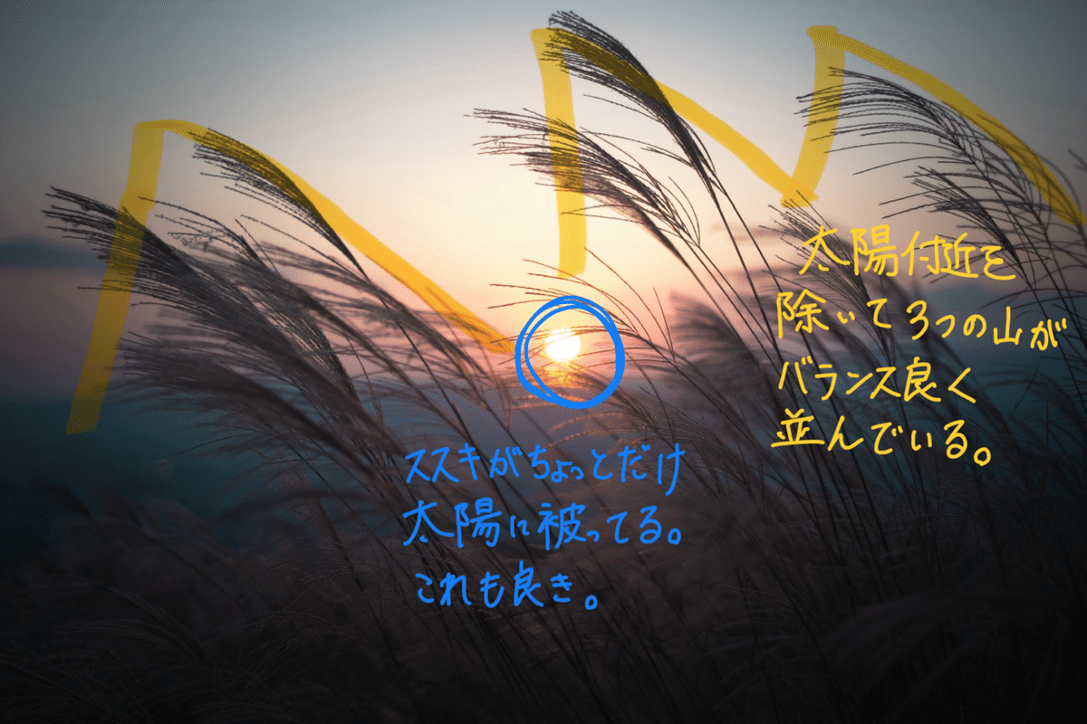 作品解説】日没まで時間なさすぎてタイムアタック撮影｜Yuta