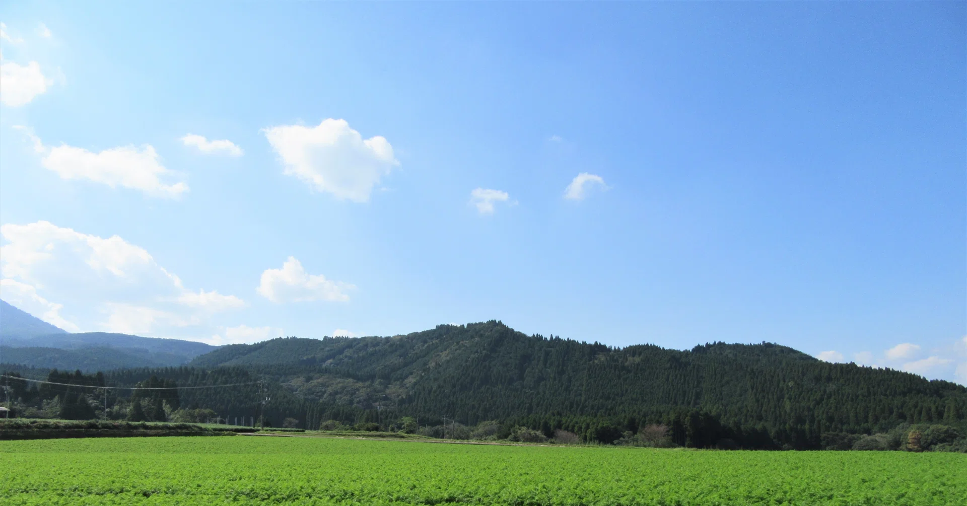 仙台二華中の合格者は何を使っていたか？塾・模試・教材を全部比べて