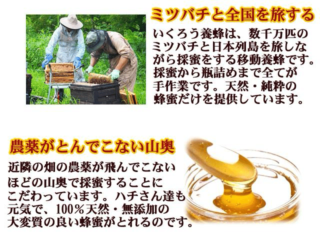 ☆りんごはちみつ1200gお買上げで150g1個プレゼント！さらに送料