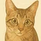 道行きぶり