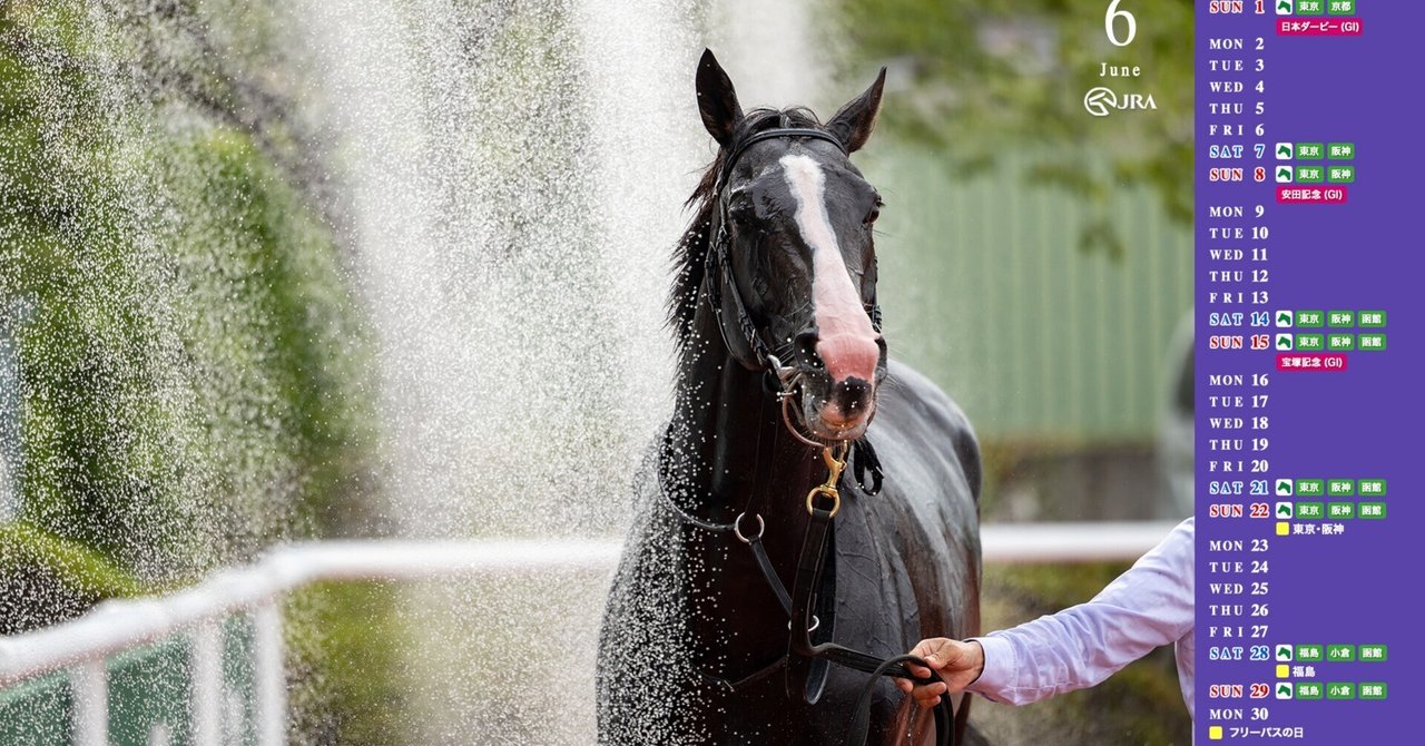 スーパーセール 半額タイムセール 競馬原論】 勝馬を探せ 消しデータ OP特別 天保山S｜長坂総研 趣味・スポーツ・実用