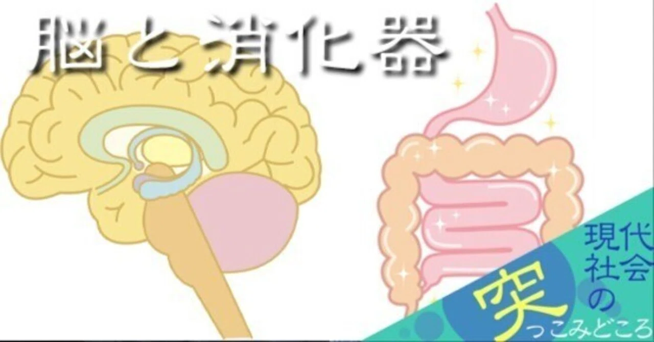 The Brain and the Digestive System｜斎藤忍