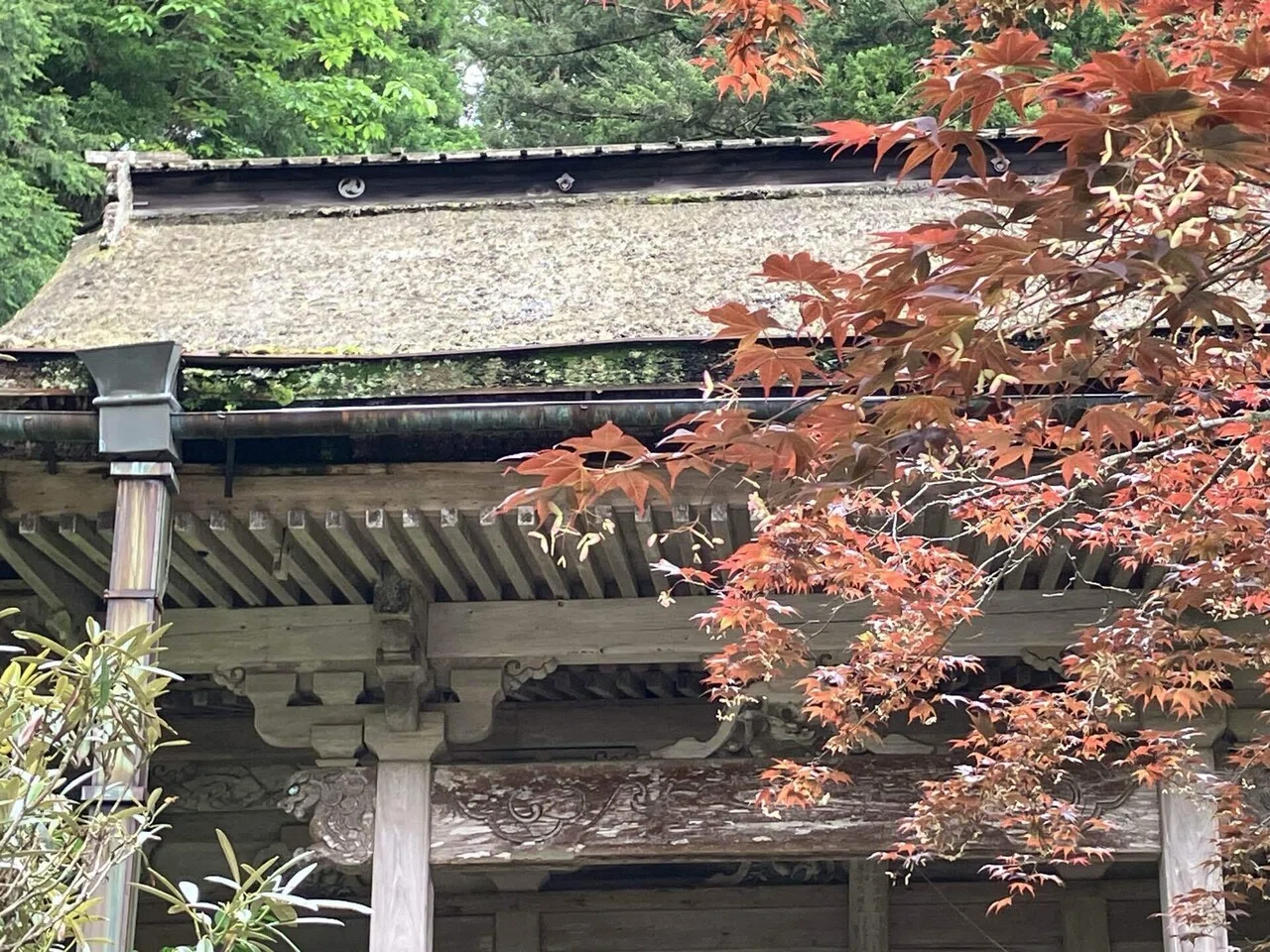 高野山で重森三玲を見たい旅：7 金剛三昧院｜ハト子