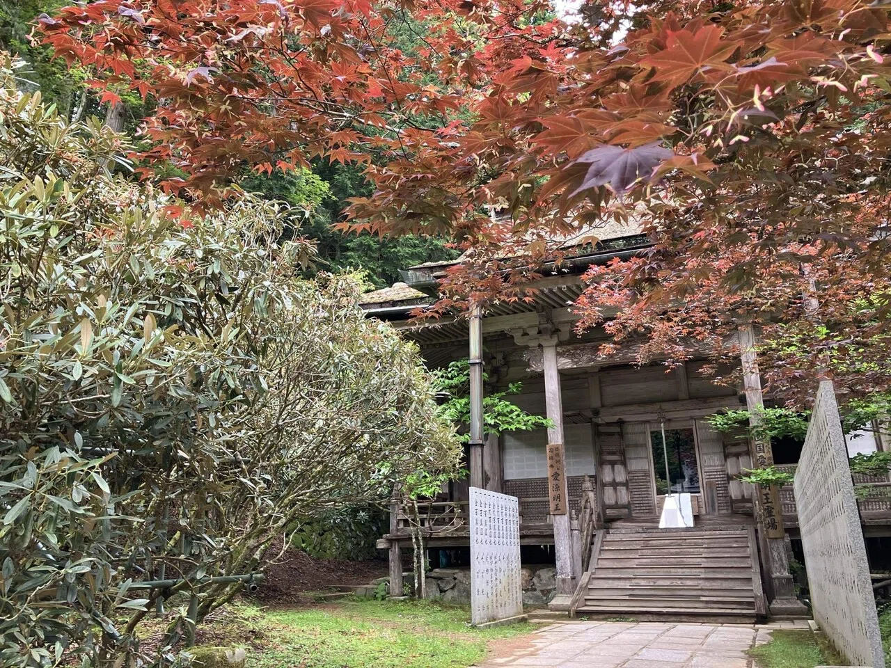 高野山で重森三玲を見たい旅：7 金剛三昧院｜ハト子