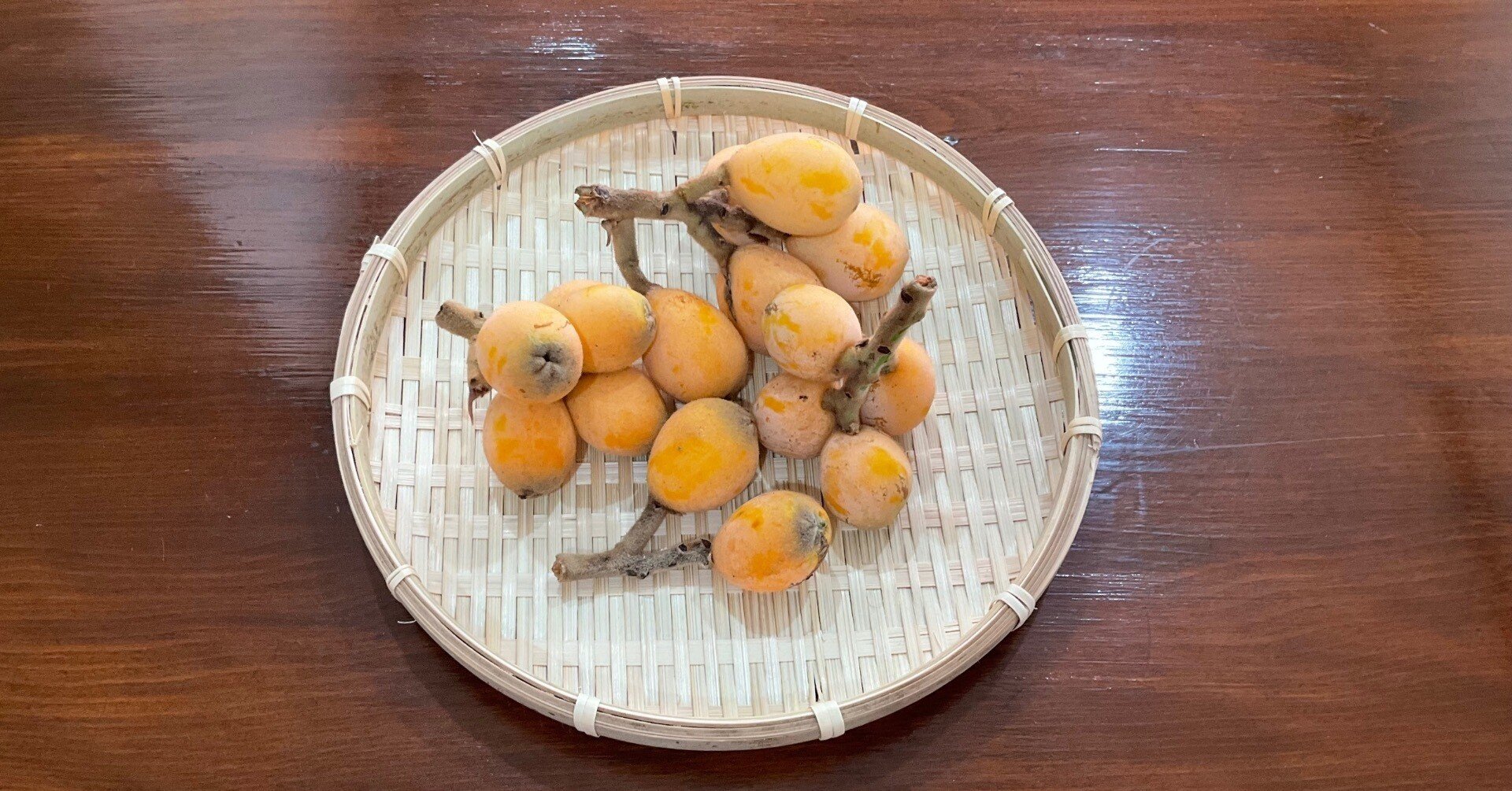 168. 朝、枇杷の実をもらいに行く。｜うさのすけ