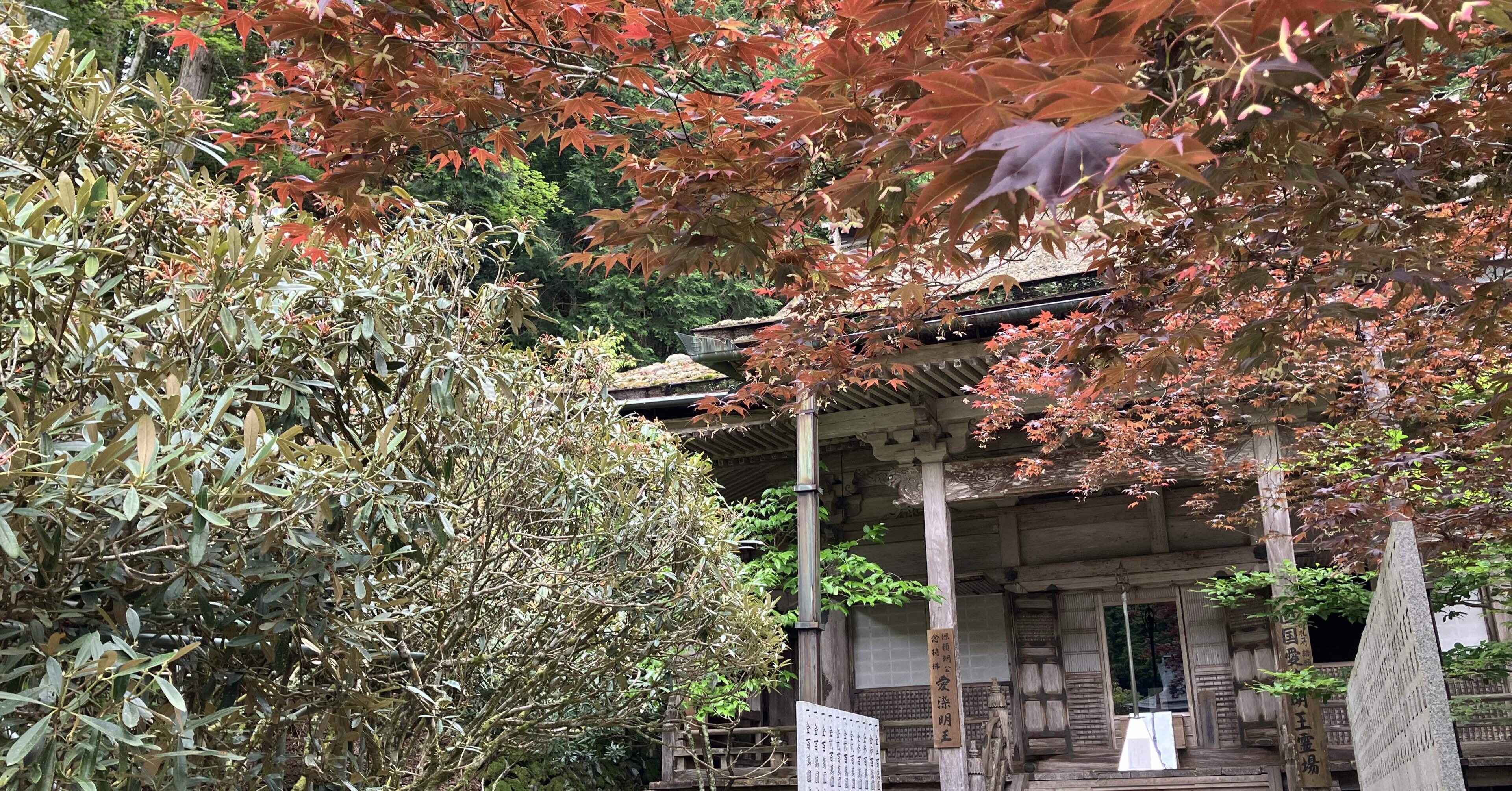 高野山で重森三玲を見たい旅：7 金剛三昧院｜ハト子