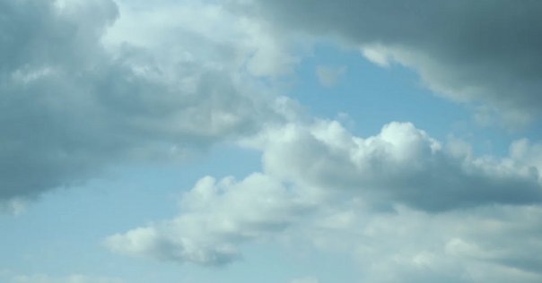 7/19以降発送　品質評価マニュアル 2024年版 Amazon.co.jp: 品質評価マニュアル―2024年版― : 内部監査人協会