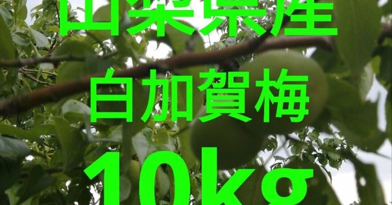 注意！】ネットショッピング詐欺｜さふぁ