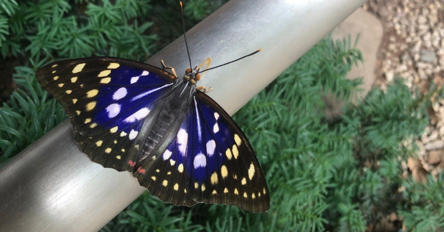 9039e1ebfd7c7aef84b37e9a7e0df9