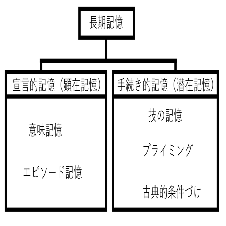 人間の記憶方法のしくみ（長期記憶編）｜フジフジ