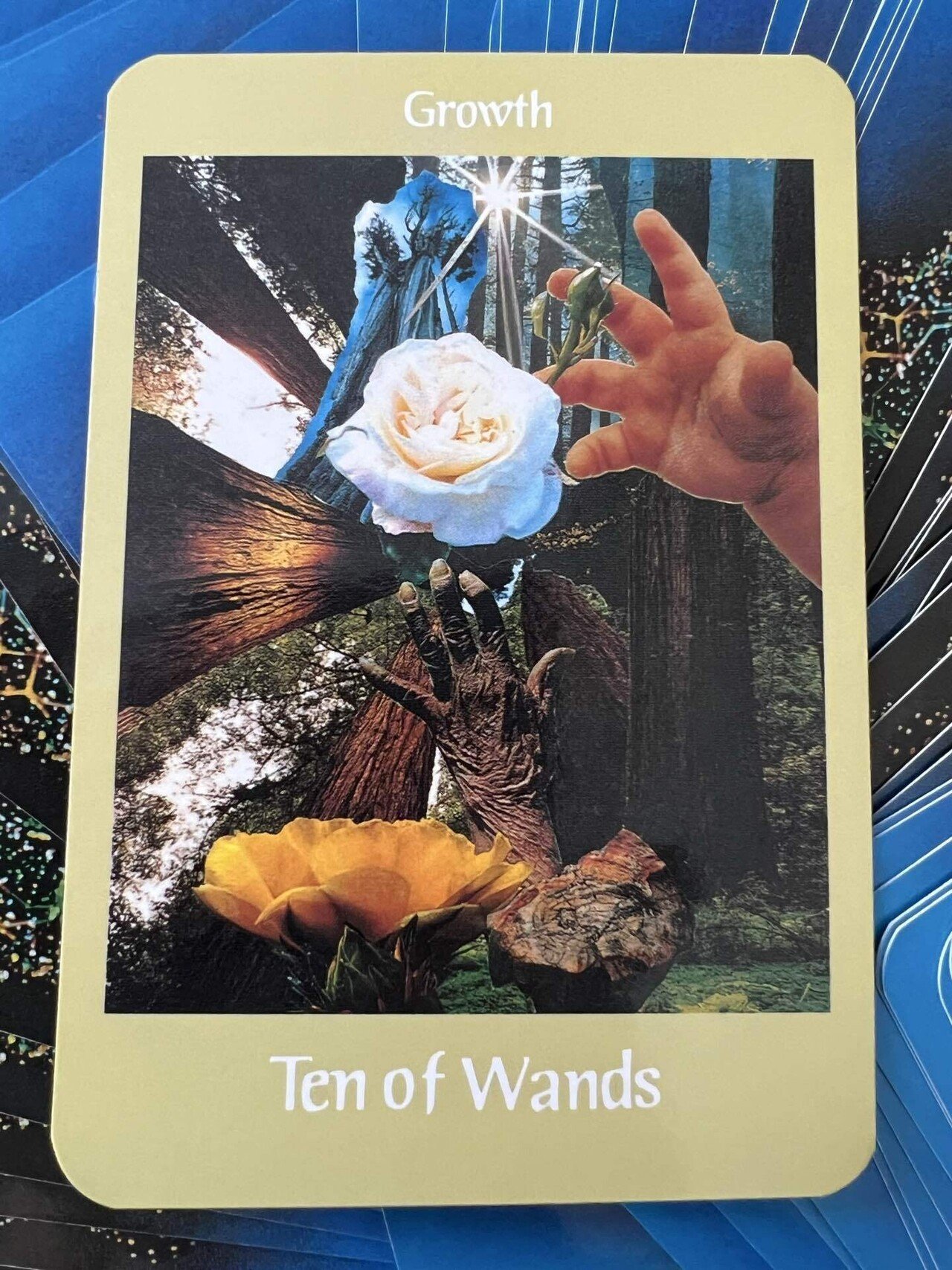 Ten of Wands「Growth（成長）」_ボイジャータロット｜つぐみ