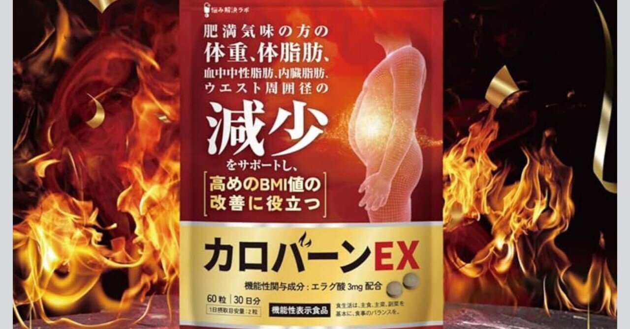 古口 様⭐️９袋⭐️未開封⭐カロバーンEX 糖脂抑制源EX ナイシボル 血糖値 ⭐️9袋⭐️未開封⭐カロバーンEX 糖脂抑制源EX ナイシボル