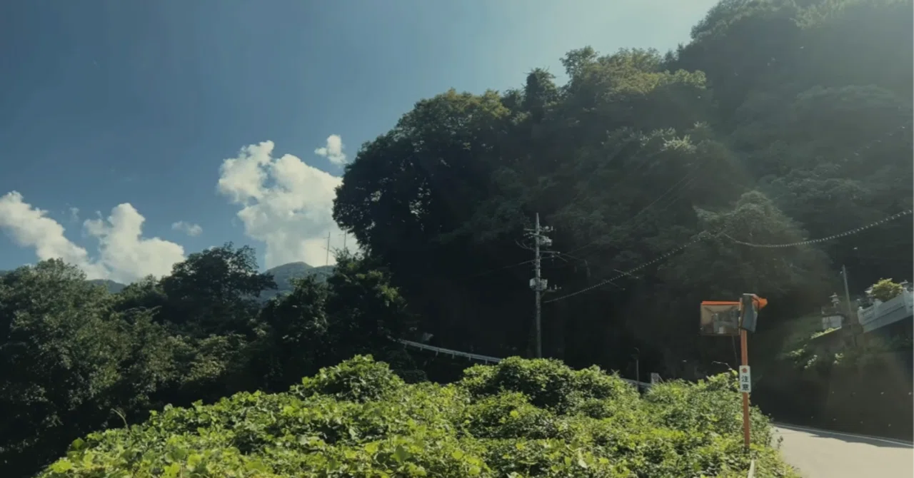 繰り返される怪異は厄災なのか？叙情的かつ民間伝承のようでもある全 