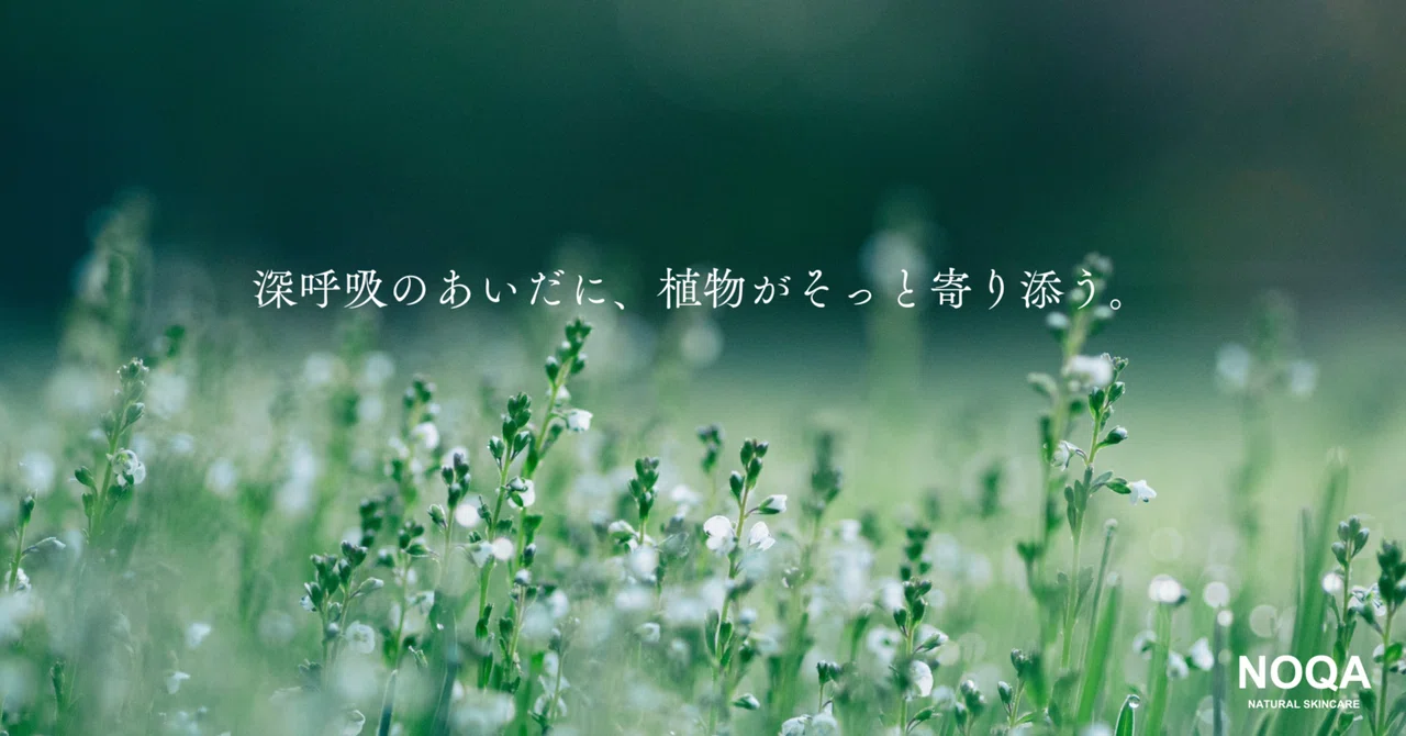 植物と、呼吸のあいだ。｜NOQA