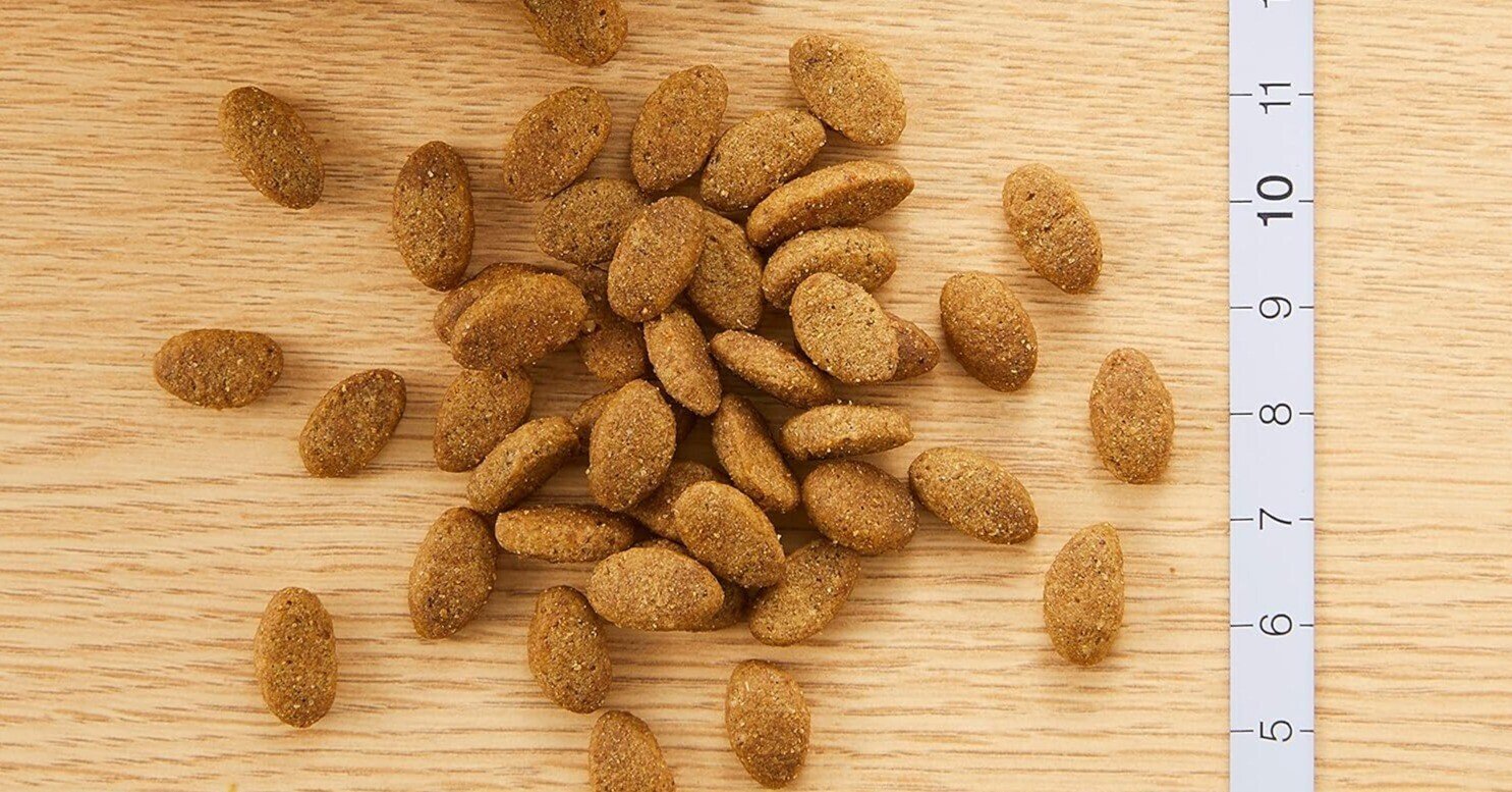 ニュートロ シュプレモ 子犬用 小粒 19キロ Nutro Supremo 子犬用