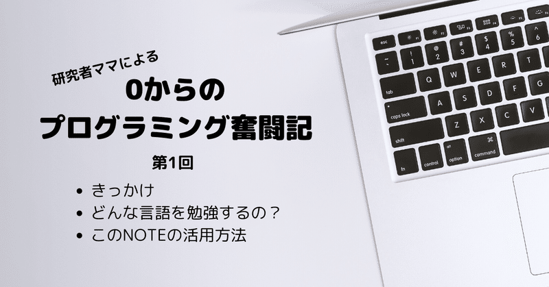 Eiko Programmingの記事一覧 Note ノート