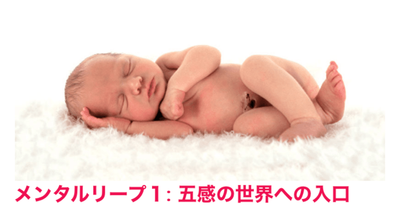 赤ちゃんのメンタルリープとは ごんたまお Note