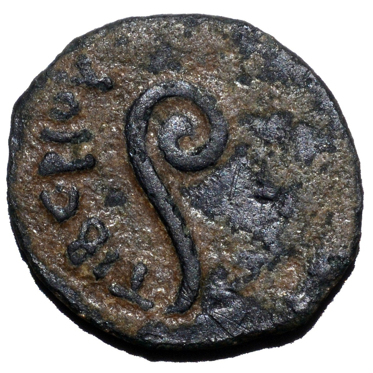 アンティークコインの世界 〜新約聖書に登場する伝説のコイン〜｜Shelk🦋