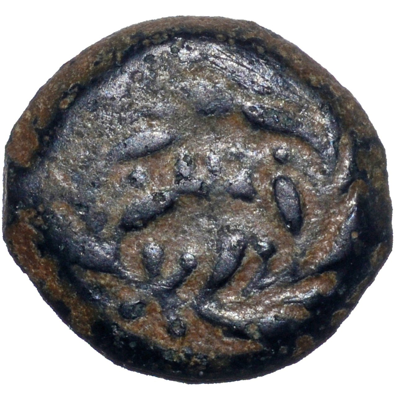 TKC132 ヘロデ大王の8プルタ青銅貨 TKC132 ヘロデ大王の8プルタ青銅貨 TKC132 ヘロデ大王の8プルタ青銅貨