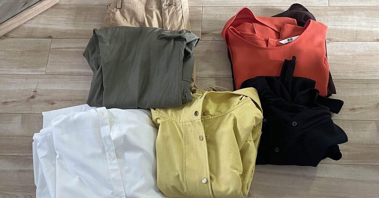【70％OFF】 2025年6月の服の断捨離＆在庫管理｜三上ゆき その他多肉植物