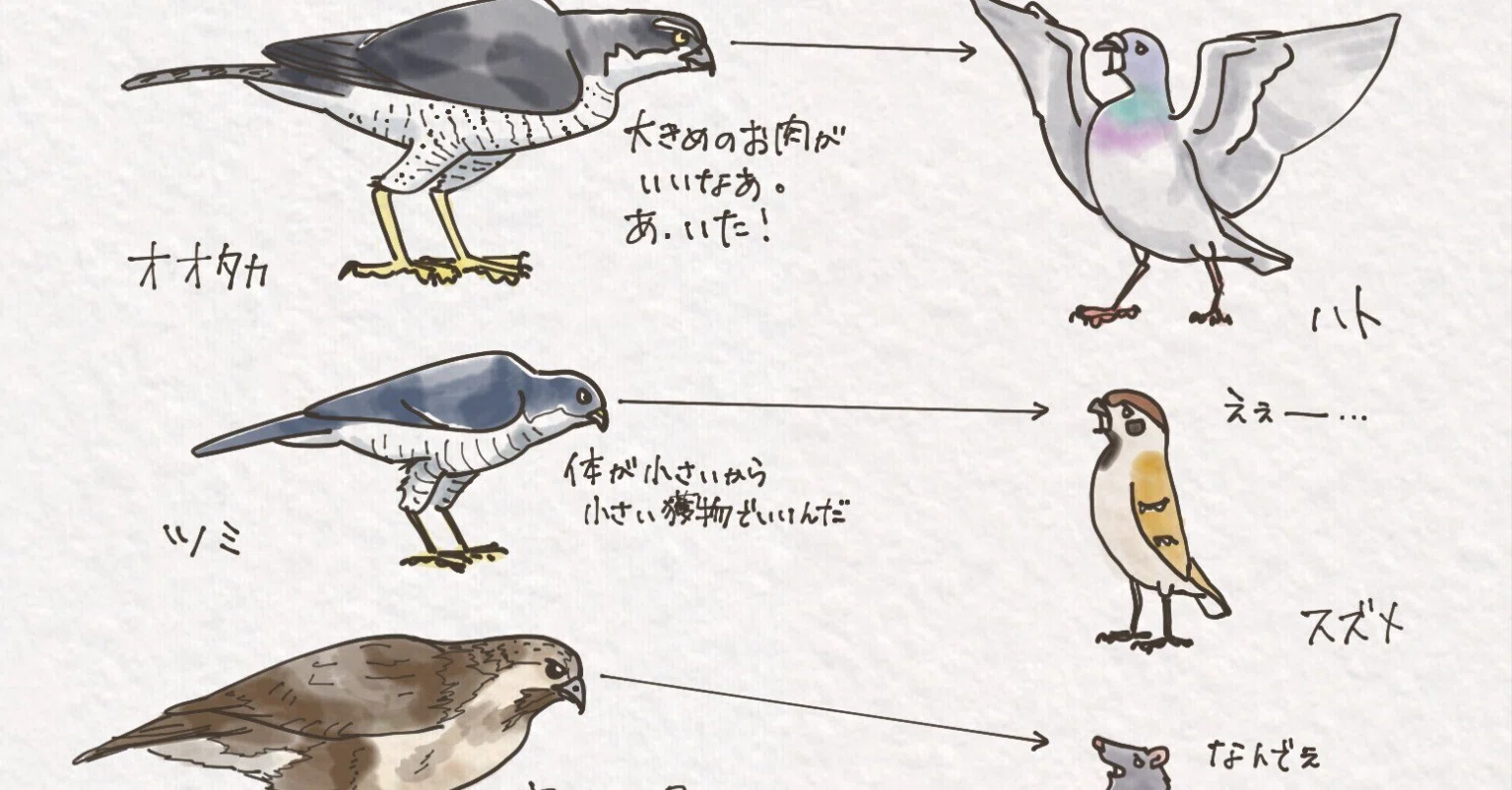週刊】自然ガイドと街歩き｜タカの食の好み｜くますけ｜自然ガイド