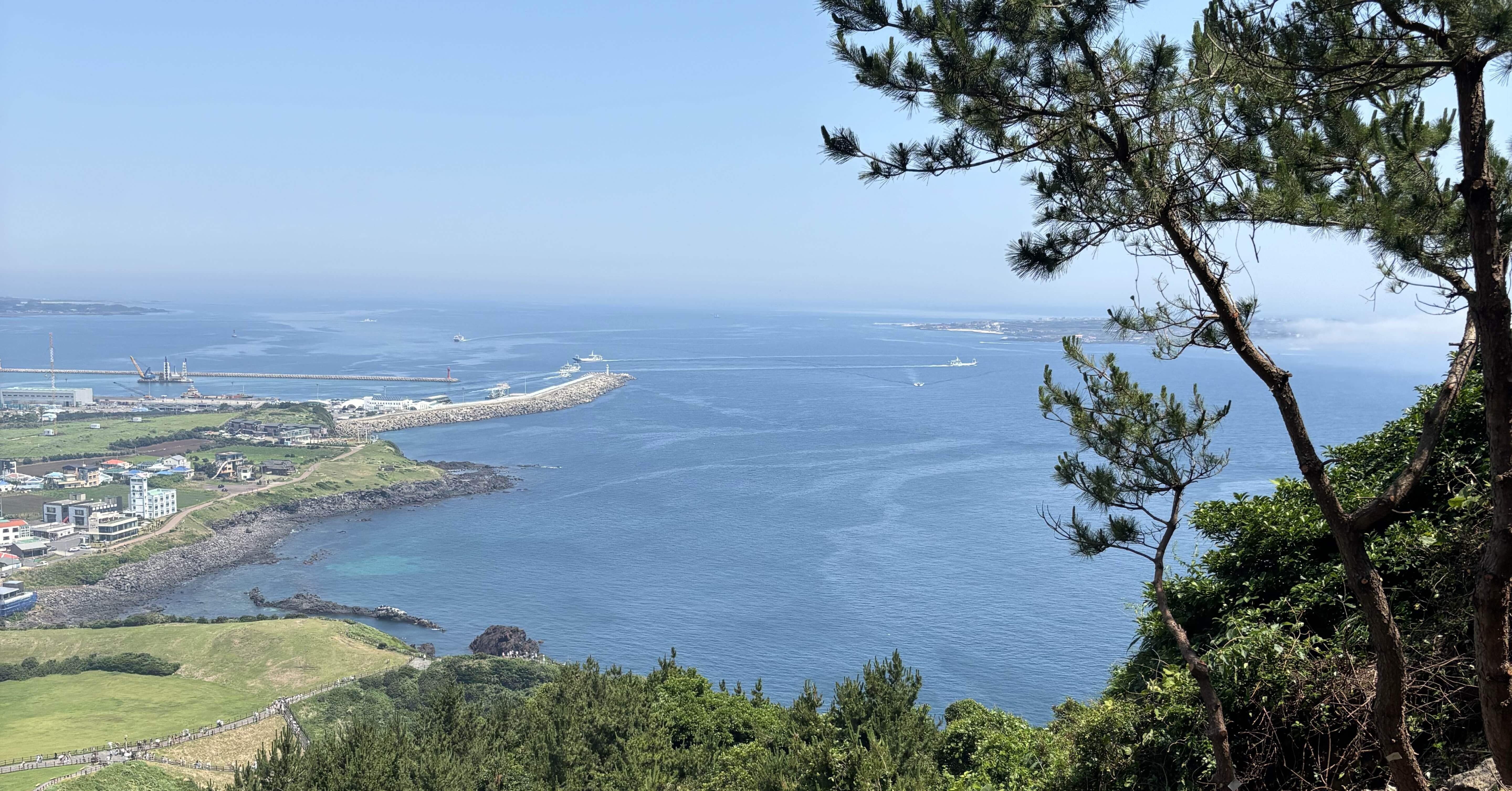 韓国🇰🇷】チェジュ島・城山日出峰に登ってみた🗻｜いそま@女子ひとり旅