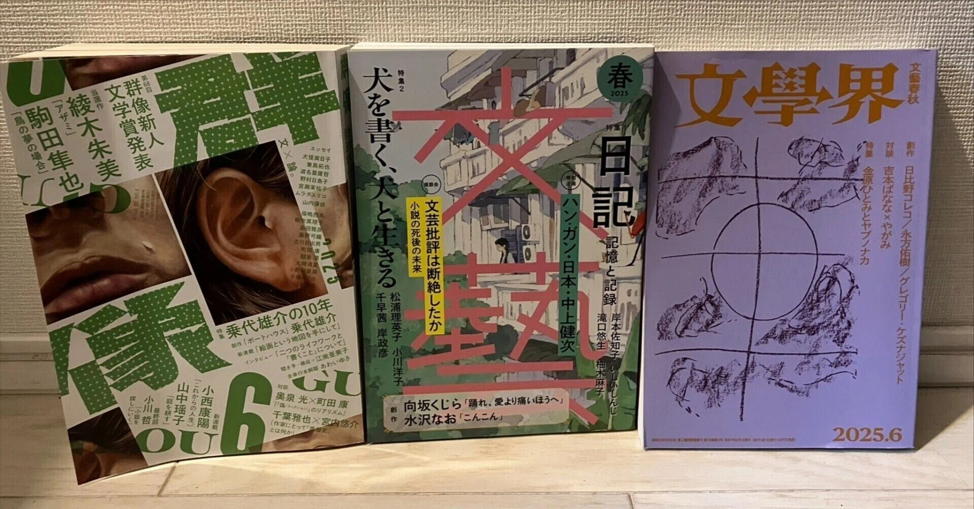 芥川賞候補作ぜんぶ読みました（25年上）｜にゃんしー