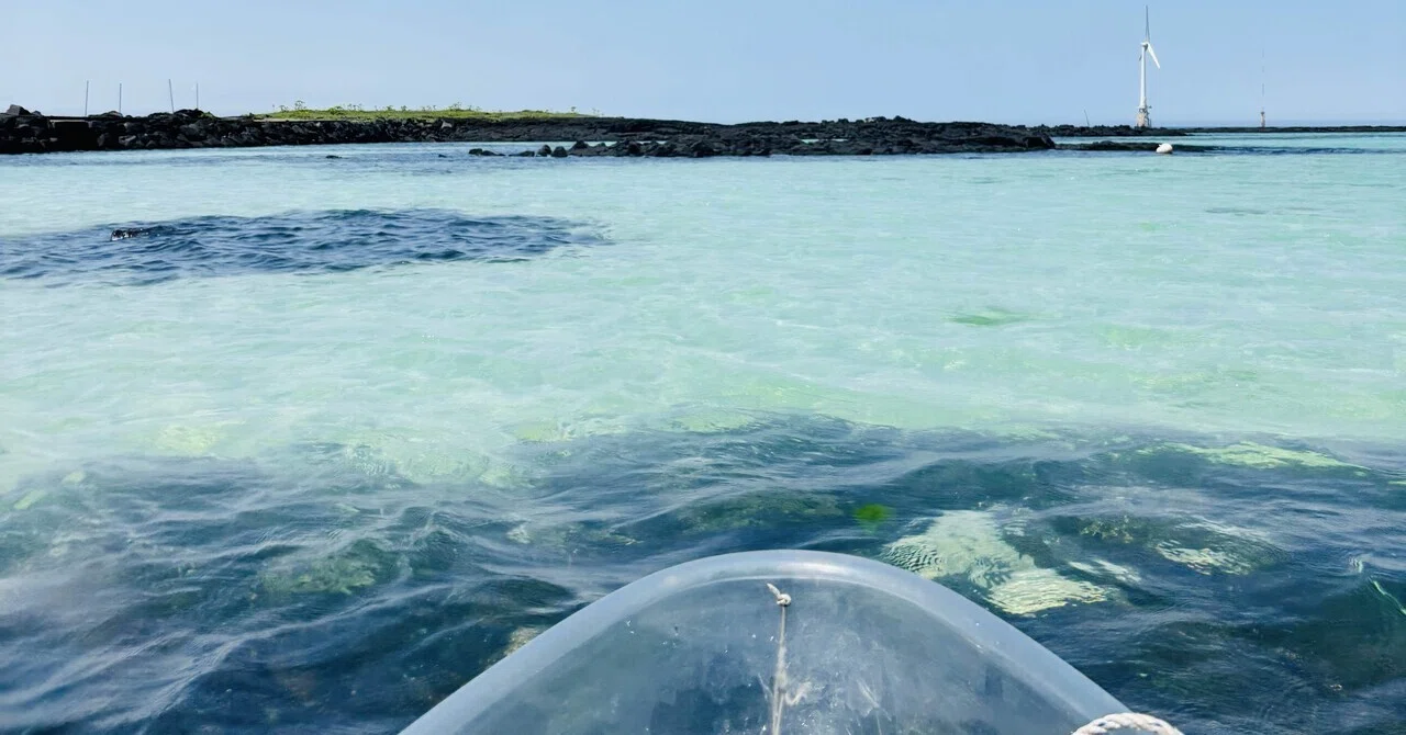 韓国🇰🇷】チェジュ島でカヤック🏝️ 全人類に推したい🚣‍♀️｜いそま
