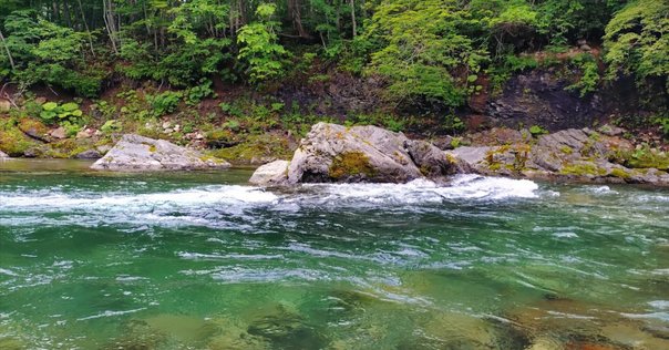 川のある風景 川のある風景(磐井川)|taka