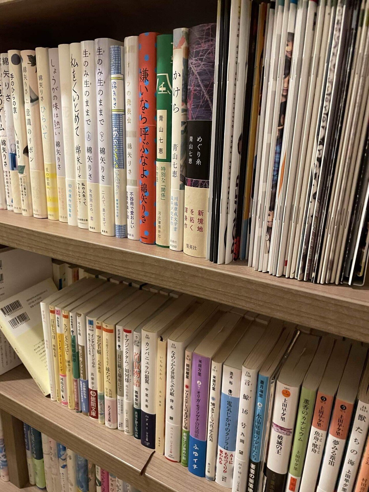 私の本棚2025年版 その5｜とし総子