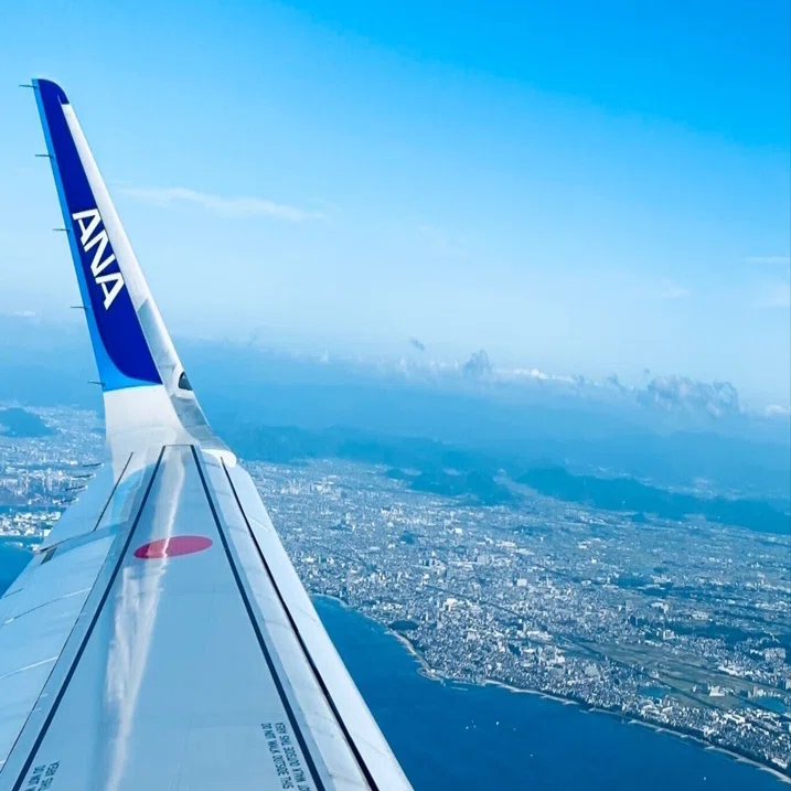 ANAに半額で乗る裏ワザ！｜えあり✈️元国際線CAの旅情報