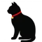 NEKOTALOO｜旅するトレーダー