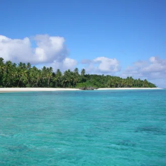 Fiji🌴magic
