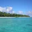 Fiji🌴magic