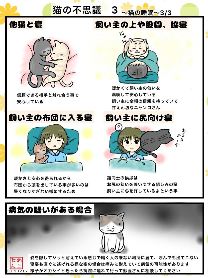 猫の不思議 3 猫の睡眠 めこたん 漫画 イラスト Note 猫の不思議 3 猫の睡眠 めこたん 漫画 イラスト Note