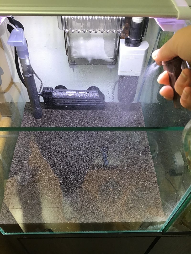 レッドビーシュリンプ水槽立ち上げ 第二弾 Kakoto Note