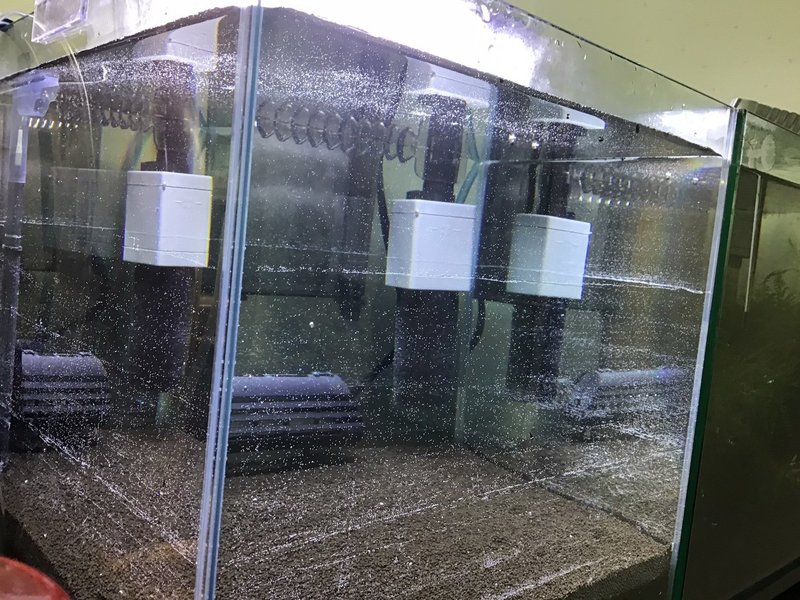 レッドビーシュリンプ水槽立ち上げ 第二弾 Kakoto Note