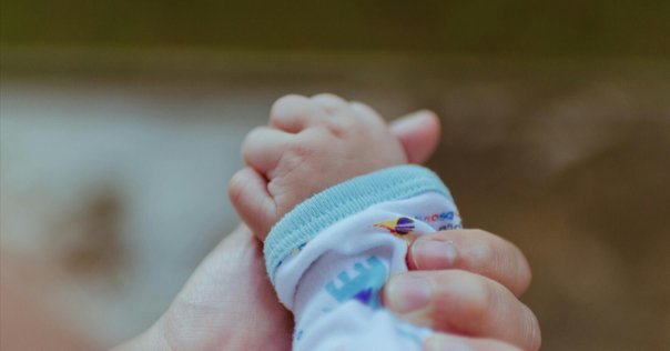 隣の芝生は青い、子育て。｜ぽよん