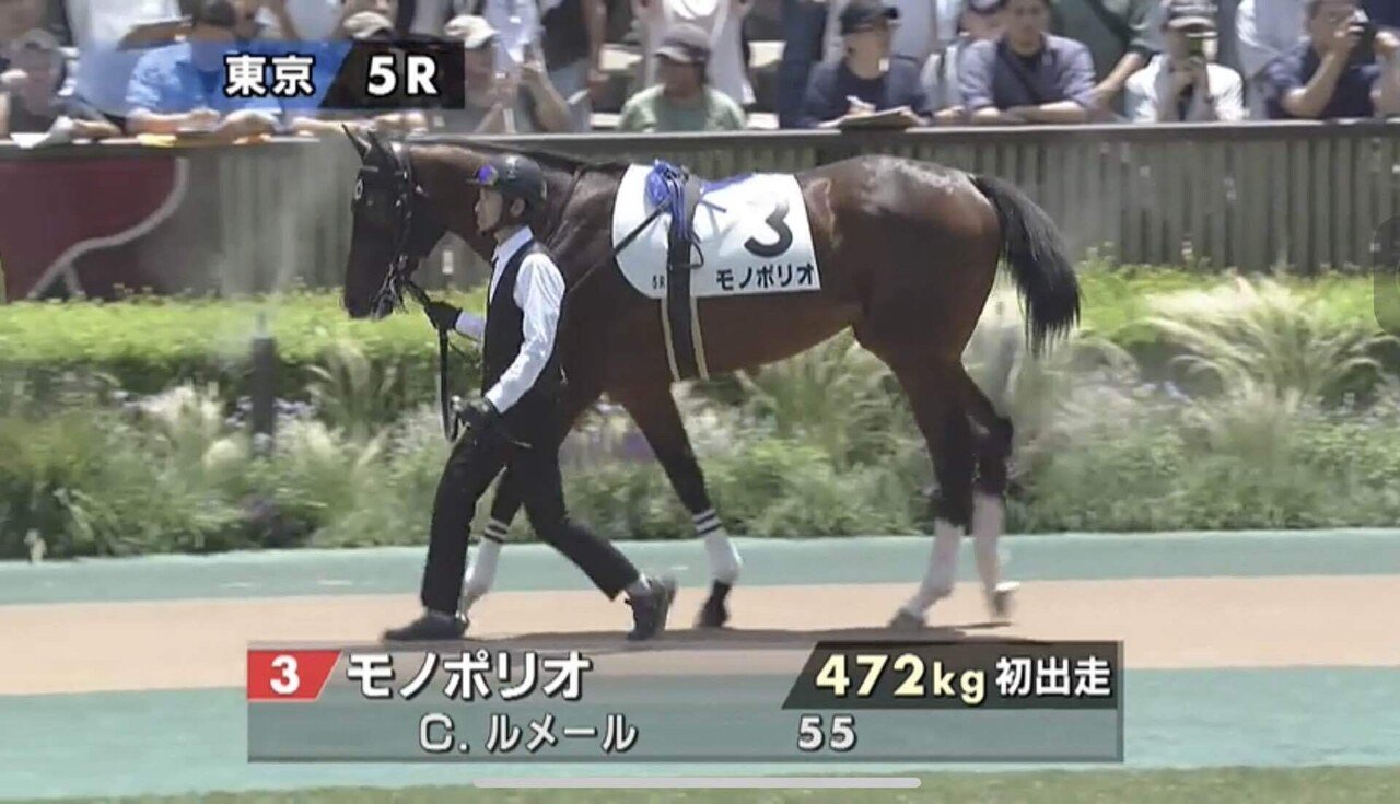 6/21(土) 東京5R メイクデビュー戦🐴モノポリオ｜まう