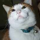 本山白雲の伊藤博文像｜大山 格