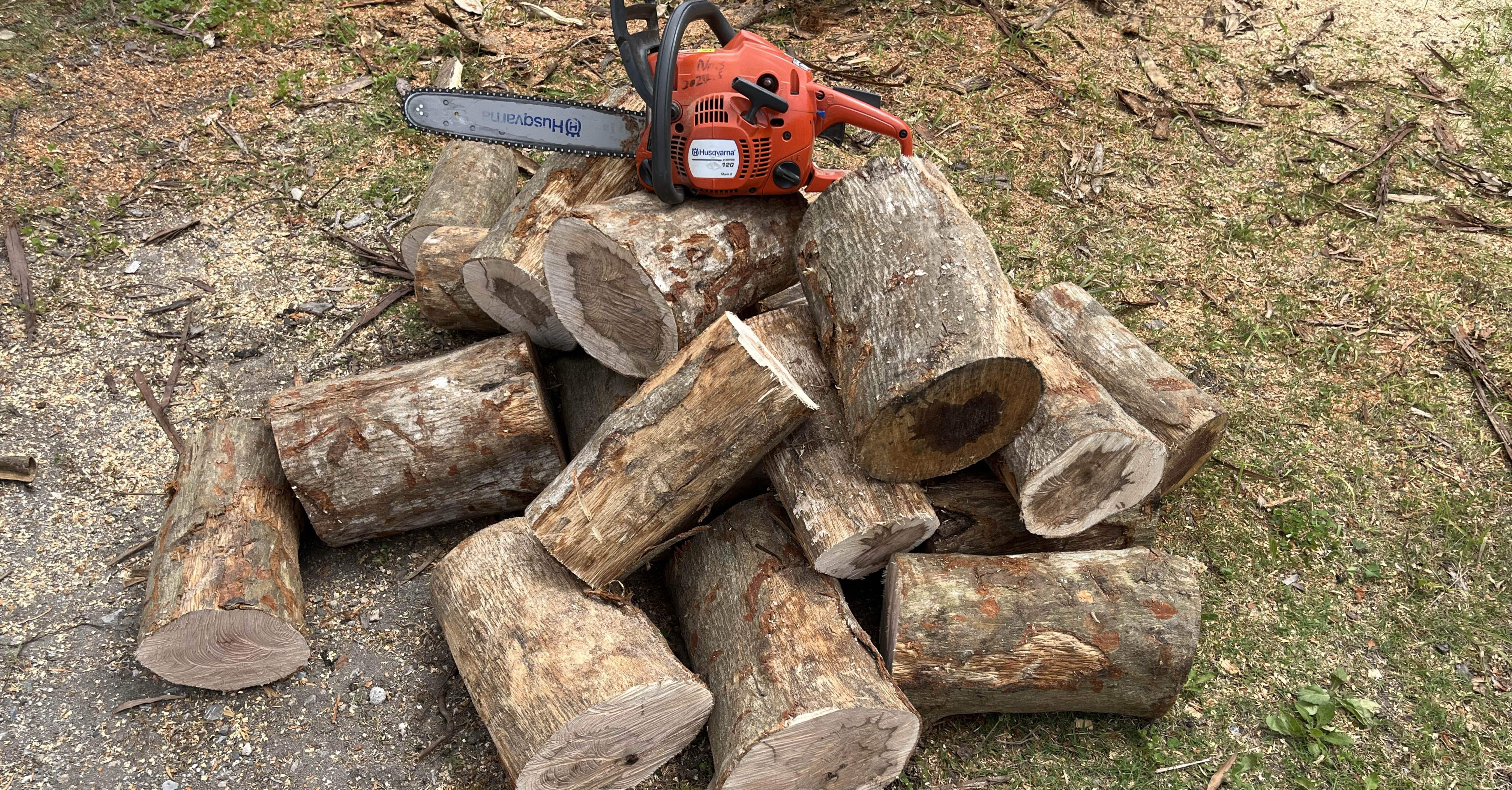 一気通貫(伐倒→玉切り→薪割り→棚置き)｜丸太工房〜館山〜｜館山南