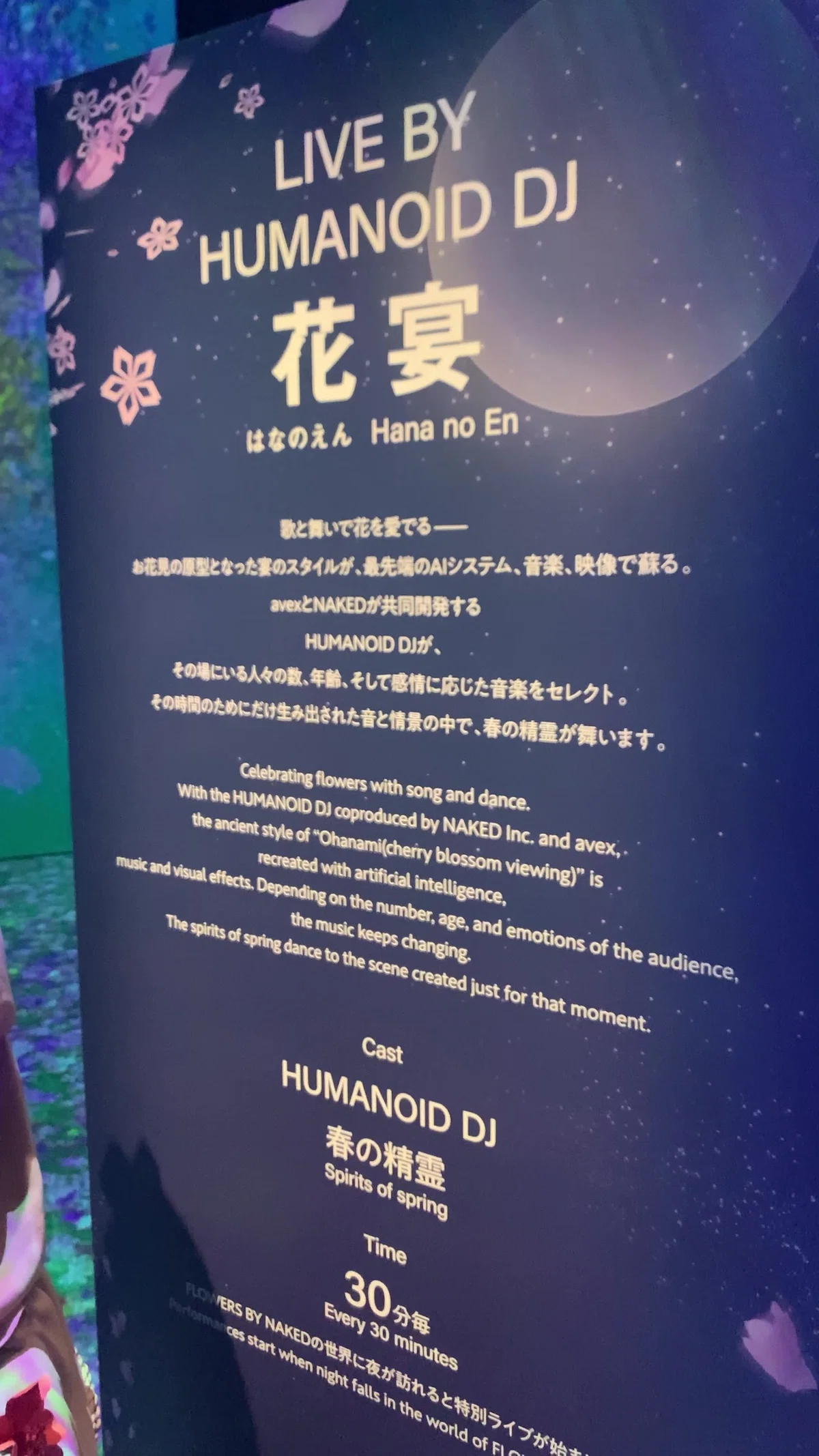 画像33