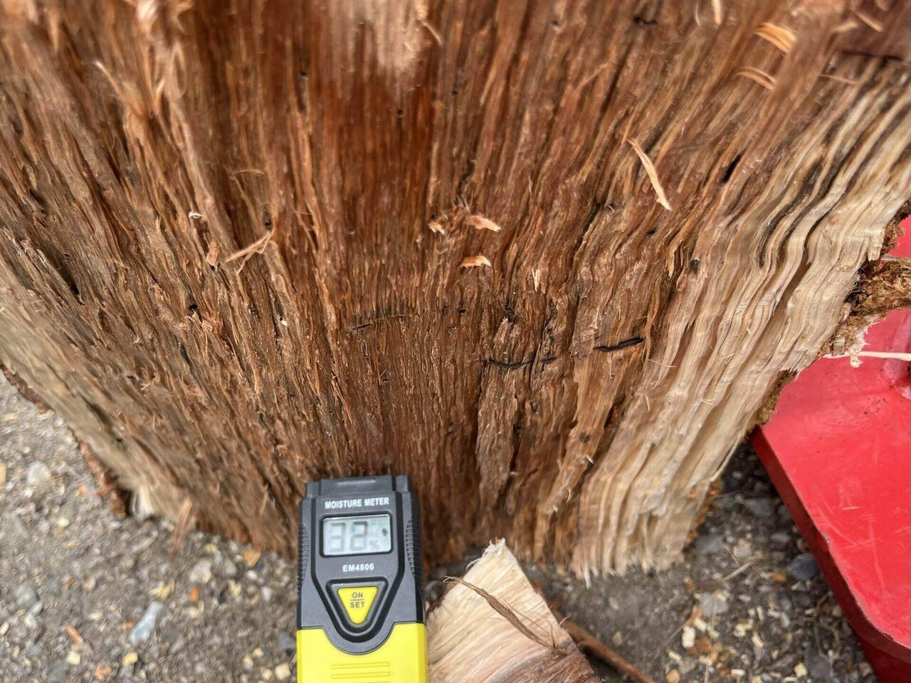 一気通貫(伐倒→玉切り→薪割り→棚置き)｜丸太工房〜館山〜｜館山南