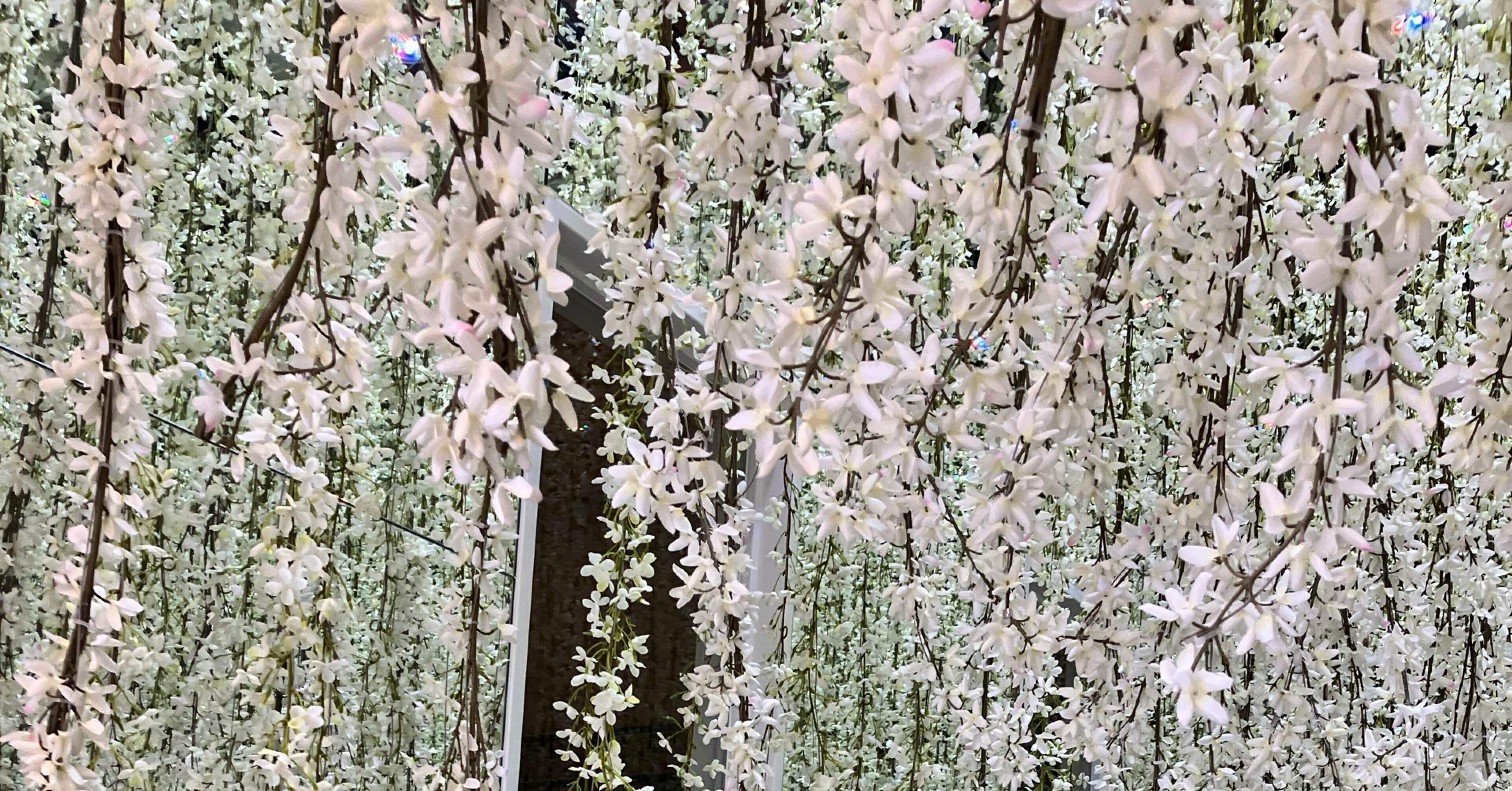 ジャスミンとウード＋スパイスとハーブ：2回目万博｜Violette