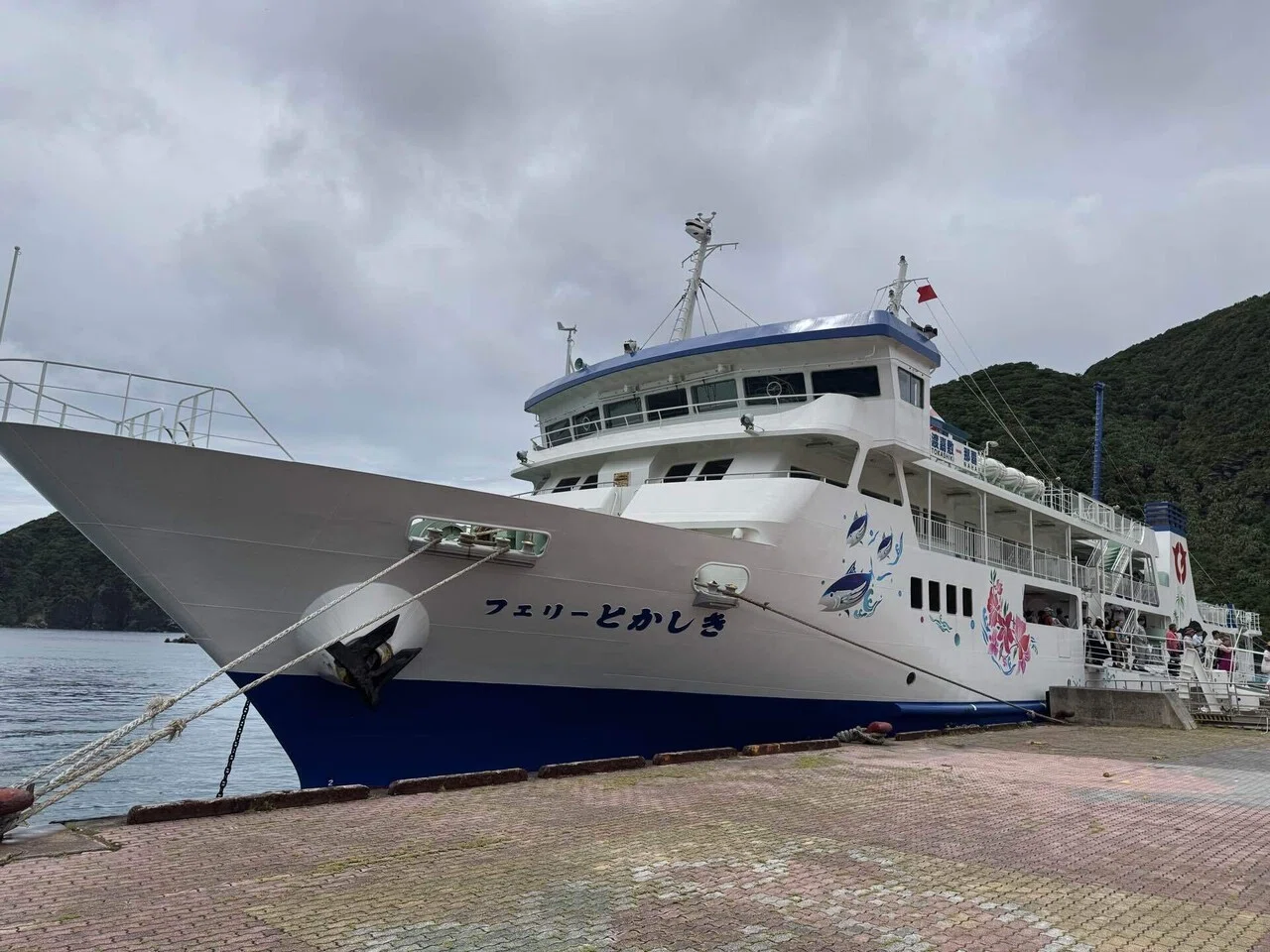 沖縄の旅】渡嘉敷島・阿波連に「なにもしない」をする 2025年6月｜づぅ